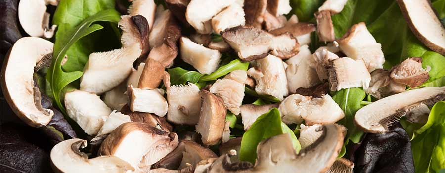 Frischer Pilzsalat mit Arganöl | ArganArgan Frischer Pilzsalat mit Arganöl | ArganArgan